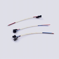 Kabel Rakitan Tembaga PVC JST SM 2.5mm 2 4 Pin Male Female untuk Perangkat Mini yang Dapat Dipakai, PCB Baterai, Bersertifikasi ISO9001