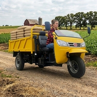 Système de levage pour tricycle diesel, mini-camion de fret, mini-benne lourde 1 tonne, 2 tonnes, 3-5 tonnes