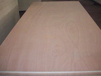 Contreplaqué marin imperméable Hysen 18 mm, placage Okoume, noyau en eucalyptus, pour extérieur