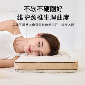 Love Home Buckwheat <b>Pillow</b> Rectangle Firm <b>Neck</b> Support Breathable Adult Sleep Aid Single <b>Pillow</b> Pack - Product Image 5