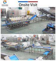 Fabrieksleverancier van mango-schilmachines en mango-snijmachines voor fruitverwerkingsbedrijven, mango-verwerking voor productie.