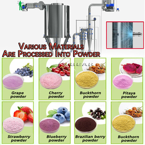 عرض خاص جديد مجفف الحليب بثاني أكسيد التيتانيوم لتجهيز الأغذية في المختبرات ، مسحوق المزرعة ، تجفيف الهواء للاستخدام - Product Image 6