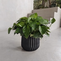 Pot de fleurs moderne noir côtelé pour plantes vertes d'intérieur, design minimaliste, matériau PP, décoration intérieure