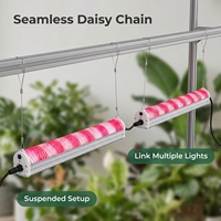 Lampu LED Grow Light Spektrum Penuh IP66 Tahan Air Linear untuk Pertumbuhan Tanaman di Greenhouse Tomat