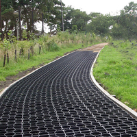Dalles Stabilisatrices de Sol Équestres pour Paddock, Grilles Anti-Boue et Gravier