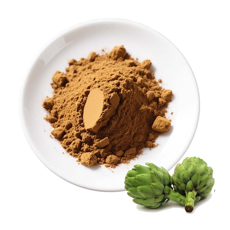 Wholesale Food Grade Artichoke Leaf Extract