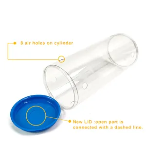 Confezionamento di tubi personalizzati in plastica trasparente, scatole di mirtilli per imballaggi a prova di manomissione