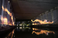 Écran de projecteurs 16:9 à maille holographique haute définition à 7 couleurs