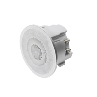 Haut-parleur de plafond étanche IP66 avec boîtier en aluminium et radiateur de basses pour installation en sauna, SPA ou salle de vapeur à forte humidité