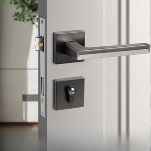 Poignée de porte magnétique silencieuse en alliage de zinc gris moderne, <span class=keywords><strong>prix</strong></span> <span class=keywords><strong>d</strong></span>'usine, avec clés, pour maison, bureau, salle de bain, hôtel, quincaillerie - Product Image 4