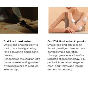 Kotak Moksibusi Terapi Fisik Pemanasan, Peralatan Isi Ulang Mini, Perangkat Moksibusi Tanpa Asap - Product Image 6