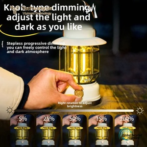 Wholesale New Popular High Quality Hot Sale Portable PC LED <b>Light</b> with Handle <b>Emergency</b> Garden Night <b>Light</b> Camping <b>Light</b> - Product Image 6