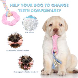 Wholesale Bite-resistant Safety TPR Pet Chew Toy for Dogs Play Colorful Funny Pet Interactive Teeth and Grinding Training Toys - Product Image 5