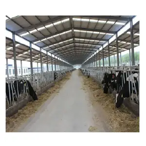 Low price prefab steel structure cattle farm building dairy cow shed