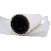 Espagne Stock Premium CALCA Pro 13in X 328ft/33cm X 100m Film de transfert DTF Films DTF simple/double face à pelage chaud pour imprimante DTF