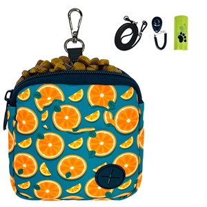 Free sample Custom Logo Multi-functional Reusable Dog Walking <b>Treat</b> Pouch Magnetic Closure Cat Silicone Snack Bag For Pet - Product Image 1