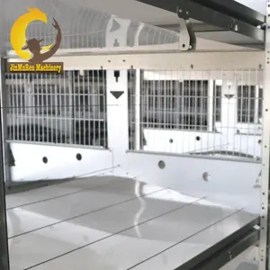 Jinmuren H Type Commercial Configuration Fully Automatic Equipment Chicken Cages 50000 Chickens Poultry Farm