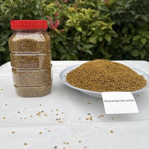 Polen de Abeja de Trigo Sarraceno al por Mayor - Grado Alimenticio, Suministro a Granel a Precio Competitivo, Ideal para Alimentos Saludables - Product Image 4