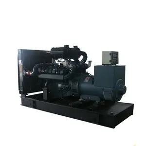 Doosan Engine Global Warranty 180kw 225KVA Diesel Generator Set With Famous Brushless Synchronous Alternator