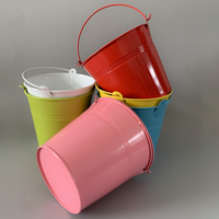Ensemble de 6 seaux en métal avec poignée, mini petits pots à fleurs en fer, panier à plantes, seaux métalliques pour fête