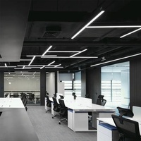 Lampe de ligne de profil en aluminium de levage avec la lumière menée linéaire d'installation extérieure lumineuse multi de surface