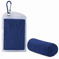 Serviette de sport rafraîchissante compacte et portable pour l'été, séchage rapide, avec pochette en silicone