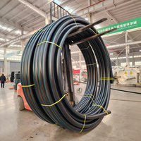 Tuyaux d'alimentation en eau flexibles et durables en HDPE 63mm 75mm 90mm Haute pression Écologiques Bobine de 100m pour système d'irrigation