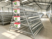 Nouvelles cages à poules pondeuses de type A à 4 niveaux, galvanisées à chaud, haute résistance à la corrosion, ensembles complets pour 900 poules