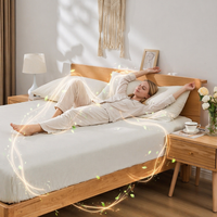 Draps de lit de mise à la terre de haute qualité, 20 % d'argent, certifiés CE et OEKO, 300 fils, écologiques, vente directe usine