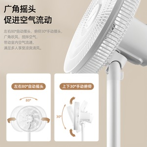 Changhong Electric <b>Fan</b> Floor <b>Fan</b> 16 Inch <b>Remote</b> <b>Control</b> Silent Oscillating Household Bedroom Use - Product Image 3