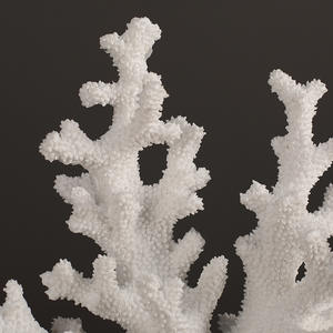 งา<span class=keywords><strong>น</strong></span>ประติมากรรมปะการังเรซิ่นสีขาวครีม ของตกแต่งงานแต่งงา<span class=keywords><strong>น</strong></span> ของขวัญเปิดสำนักงา<span class=keywords><strong>น</strong></span>ริมชายหาด ของประดับตกแต่งรูปปั้น งา<span class=keywords><strong>น</strong></span>ฝีมือ - Product Image 5