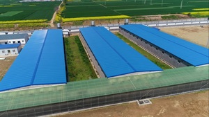Entrepôt industriel préfabriqué moderne de haute qualité en acier léger, couleur personnalisée, haute résistance au vent, charge de toit de plus de 20 <span class=keywords><strong>lb</strong></span>/po² - Product Image 5