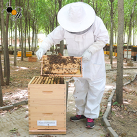 Colmenas de Abejas de Madera de Pino de Nueva Zelanda, Cajas para Abejas Australianas