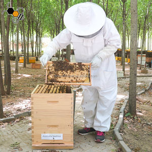 Australischer Bienenstock aus Neuseeländischem Kiefernholz, Bienenbeute, Australische Bienenbox - Product Image 3