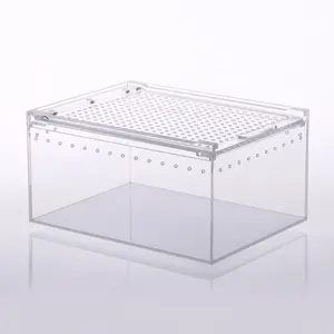 Wholesale 12*8*6 inch horizontal sliding lid acrylic box enclosure reptile display case cage habitat for spider frog insect