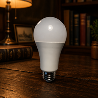 Ampoule LED solaire à spectre complet Low EMC Seoul 3030 CRI97 E26 120V dimmable sans scintillement pour photographie SAD