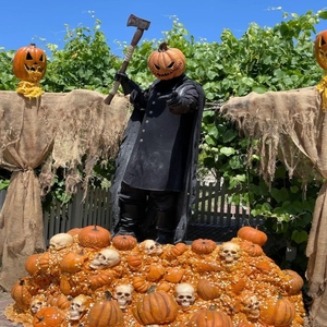 รูปปั้นโครงกระดูกฮาโลวีนไฟเบอร์กลาสปรับแต่งได้ ขนาดเท่าคนจริง ทำจากเรซิ่น สำหรับตกแต่งห้างสรรพสินค้า สวนสนุก และเทศกาลต่างๆ - Product Image 6