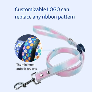 高品質 犬用光る首輪 LEDライト付き ペット用防水首輪 リードセット - Product Image 3