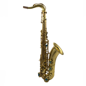 Saxophone Ténor Bb Professionnel Eastern Music TS366QU, Finition Polie Non Laquée, Martelé à la Main, Instrument de Jazz Personnalisable - Product Image 1