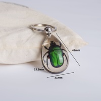 Llavero que brilla en la oscuridad al por mayor con especímenes de insectos reales, llaveros promocionales divertidos de recuerdo de Halloween y Navidad, mosquetones
