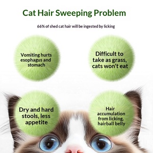 Snack per Gatti Biologici Senza Cereali, Essiccati a Freddo, per Pulizia Orale e Rimozione Delicata dei Noduli di Pelo, in Confezione Lattina, Vendita all'Ingrosso - Product Image 3