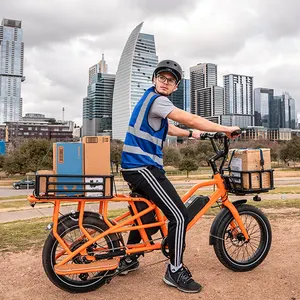 Entrepôt de l'UE 20 pouces 15Ah 48V350W/500W vélo cargo à double batterie longue queue vélo cargo électrique de livraison