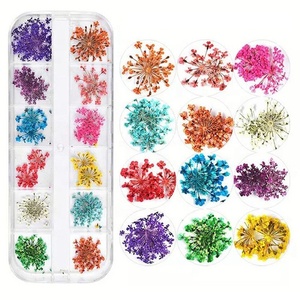 Decoración de <span class=keywords><strong>Uñas</strong></span> 3D de 12 Colores, <span class=keywords><strong>Flores</strong></span> <span class=keywords><strong>Secas</strong></span> Reales <span class=keywords><strong>para</strong></span> Gel UV y Puntas Acrílicas - Product Image 1