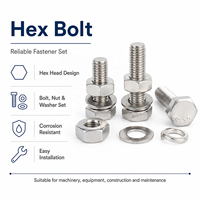 M6 M8 M10 Grade 8 Custom Stainless Steel Hexagon Ss 304 Nut and Bolts Hex Head Allen Flush Bolt and Nut Manufacturers and Fasten