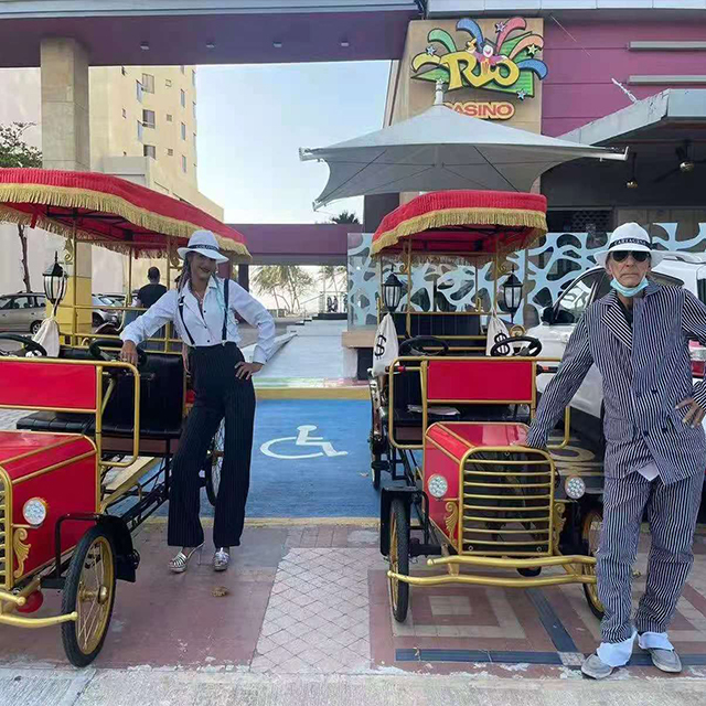 Лидер продаж 2022, Высококачественная свадебная лошадиная каретка, полуприцеп, специальная транспортировка