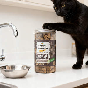 Toptan evcil hayvan gıda dondurularak kurutulmuş organik Orgo Luscious yüksek Protein mürekkepbalığı somon evcil hayvan yemeği kedi için tedavi - Product Image 3