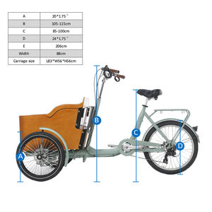 Nuevo Diseño de Velomóvil para Ir al Parque en Bicicleta de Carga, Motor de 250W, Triciclo de Carga de Tres Ruedas para Viajes Cortos - Product Image 4