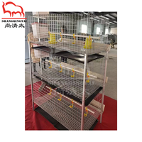 Poulailler à 3 étages galvanisé à chaud cage pour poulets de chair équipement de ferme avicole cages à batterie pour poulets de chair