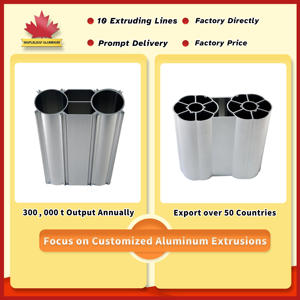 Profils <span class=keywords><strong>en</strong></span> aluminium extrudé, équipement médical, profil <span class=keywords><strong>en</strong></span> aluminium, ligne de production de sections, profil <span class=keywords><strong>en</strong></span> aluminium <span class=keywords><strong>En</strong></span> Aw 6063 - Product Image 2