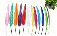 Plumes d'oie naturelles, 30 à 35 cm, pour décoration artisanale, accessoires de danse